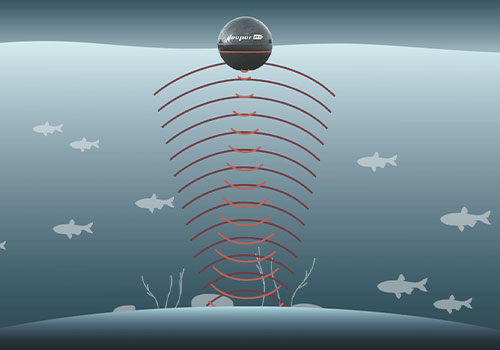 超聲波驅魚換能器